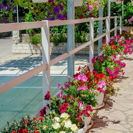 Appartamento With Parking Space Orebic, Peljesac - 12041 Orebić