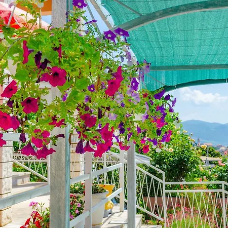 Apartman Apartments With Parking Space Orebic, Peljesac - 12041 *